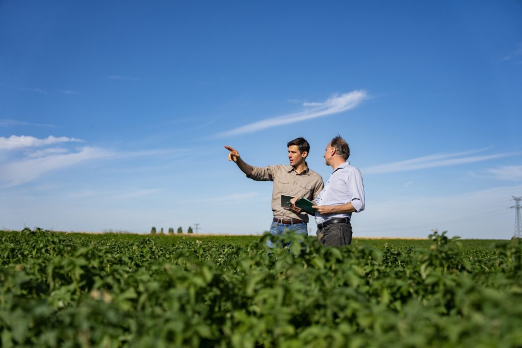 Safra 2026/2027: Sicredi disponibiliza R$ 72,1 bi em crédito rural